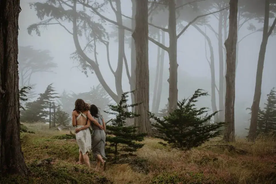 An eloping couple moving through fog beneath cypress trees