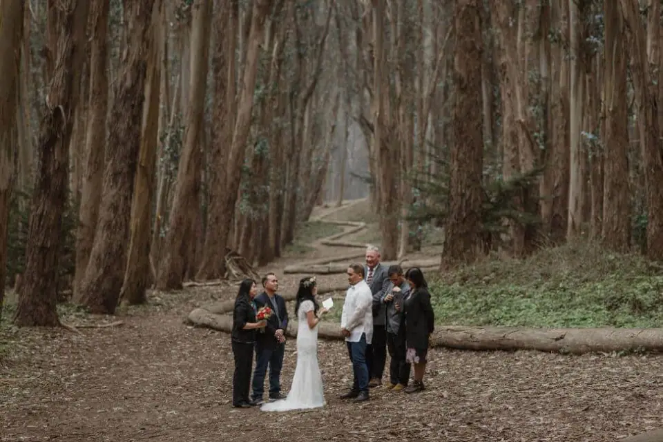 Family gathered around newlyweds in a redwood grove