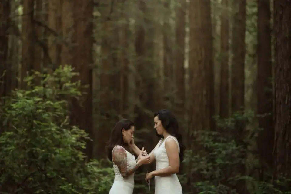 A quiet newlywed embrace in a redwood forest