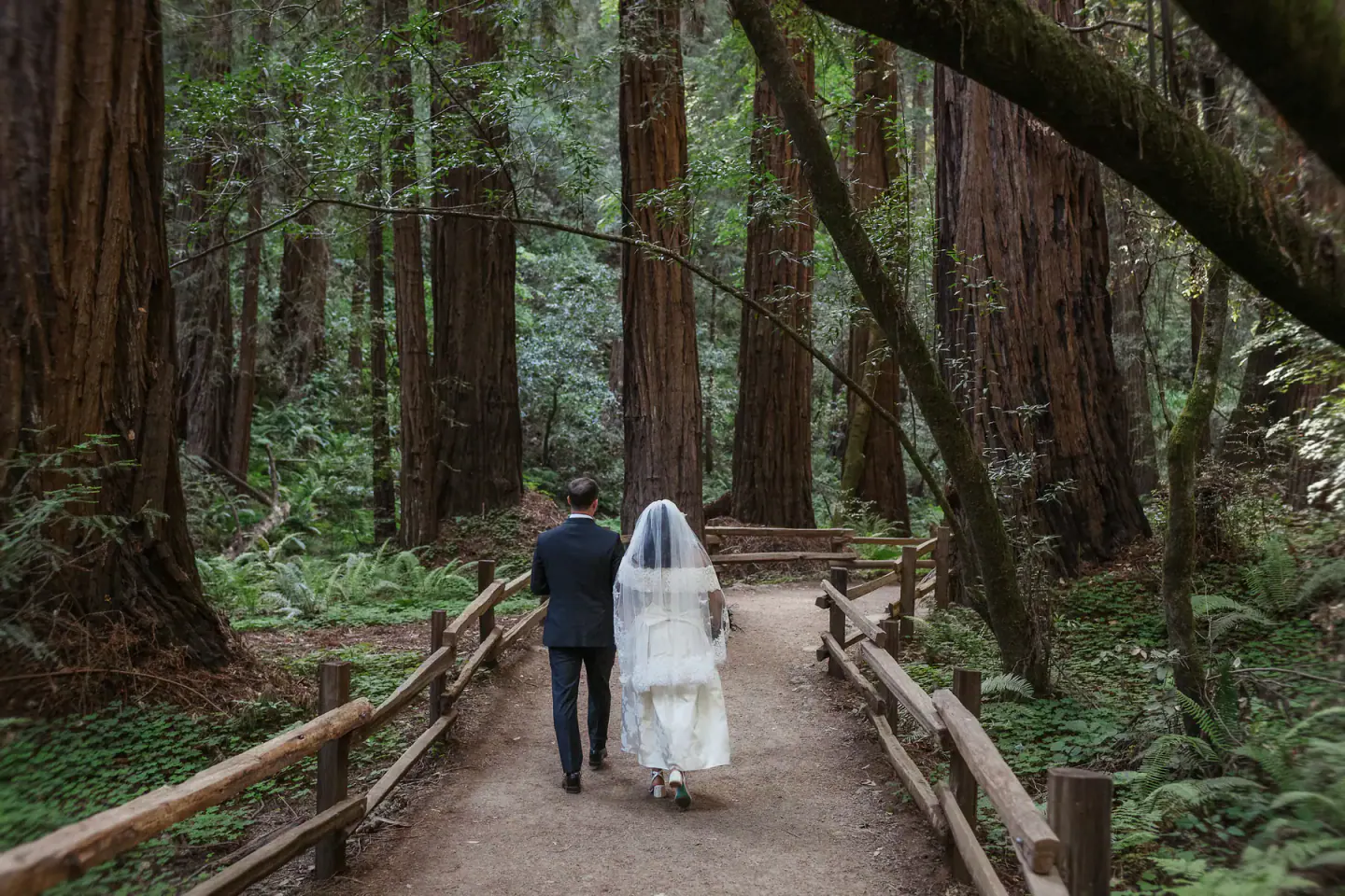 Newlyweds walking beneath the redwoods after a San Francisco City Hall ceremony