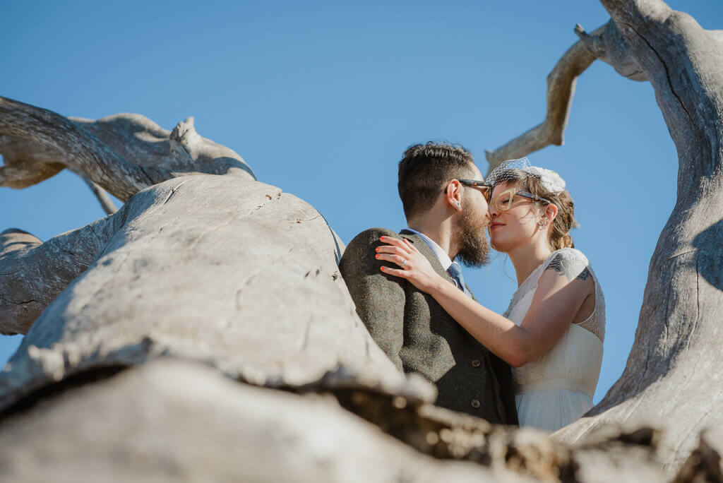 Warm natural wedding color made with HLC1