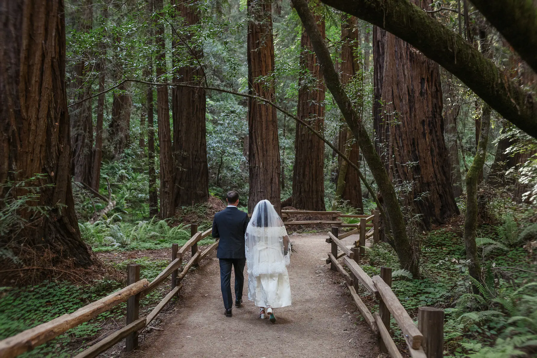 Newlyweds walking beneath the redwoods after a San Francisco City Hall ceremony